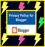 Politica de Privacidade  /  Privacy Policy