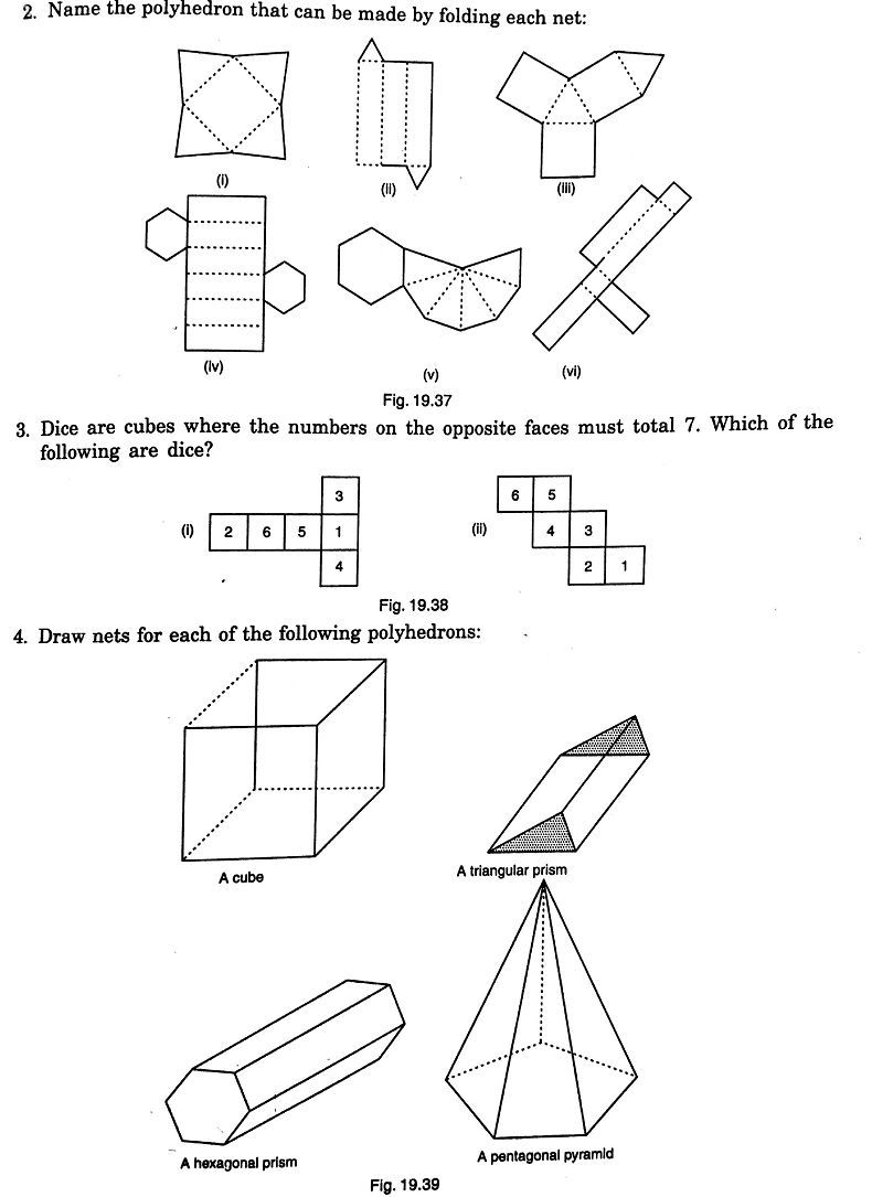 CBSE MATH 8th Visualising Solid Shapes RD