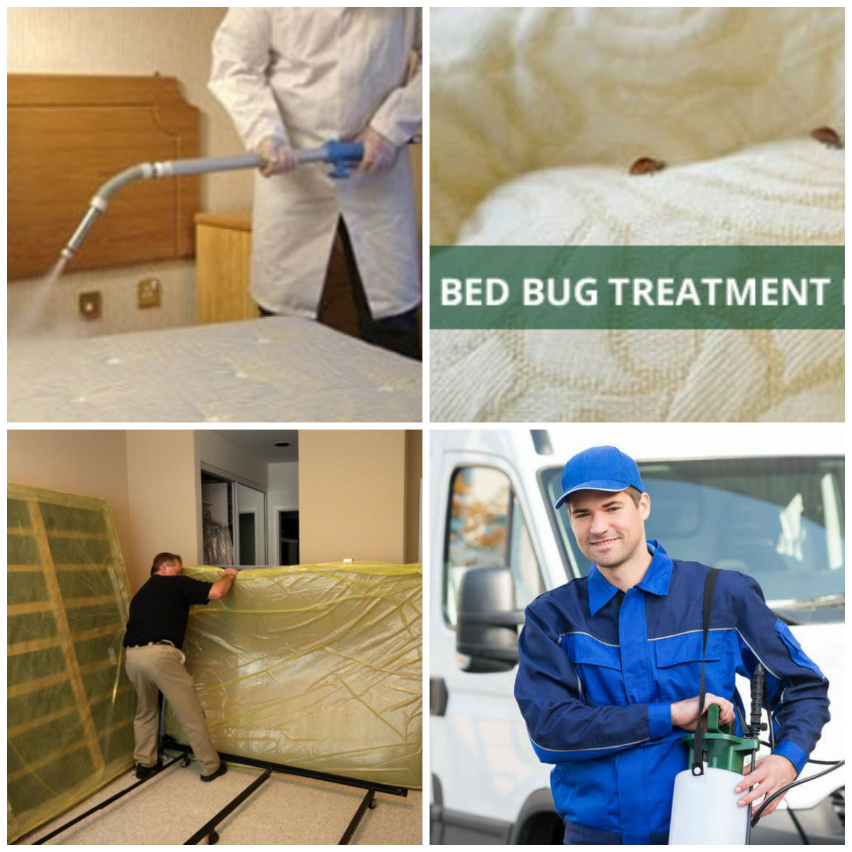 Affordable Bed Bug Exterminators