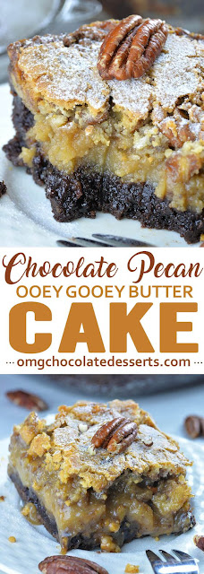 Chocolate Pecan Ooey Gooey Butter Cake