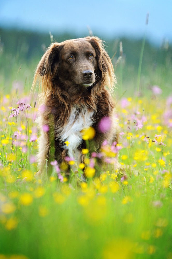 Banco de Imágenes Gratis 24 fotografías