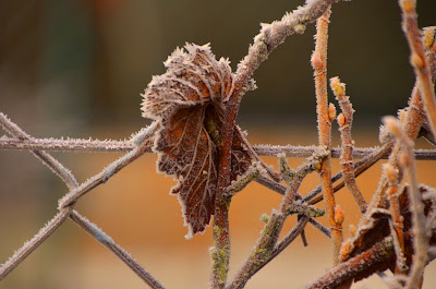 Winter, mùa đông, tél, dimër, zima, зима, 冬季, talv, talvi, Winter, mùa đông, tél, dimër, zima, зима, 冬季, talv, talvi, hiver, χειμώνας, inverno, ウィンター, ziema, žiema, iarnă, зима, vinter, zimné, invierno, zimní, kış, tél,