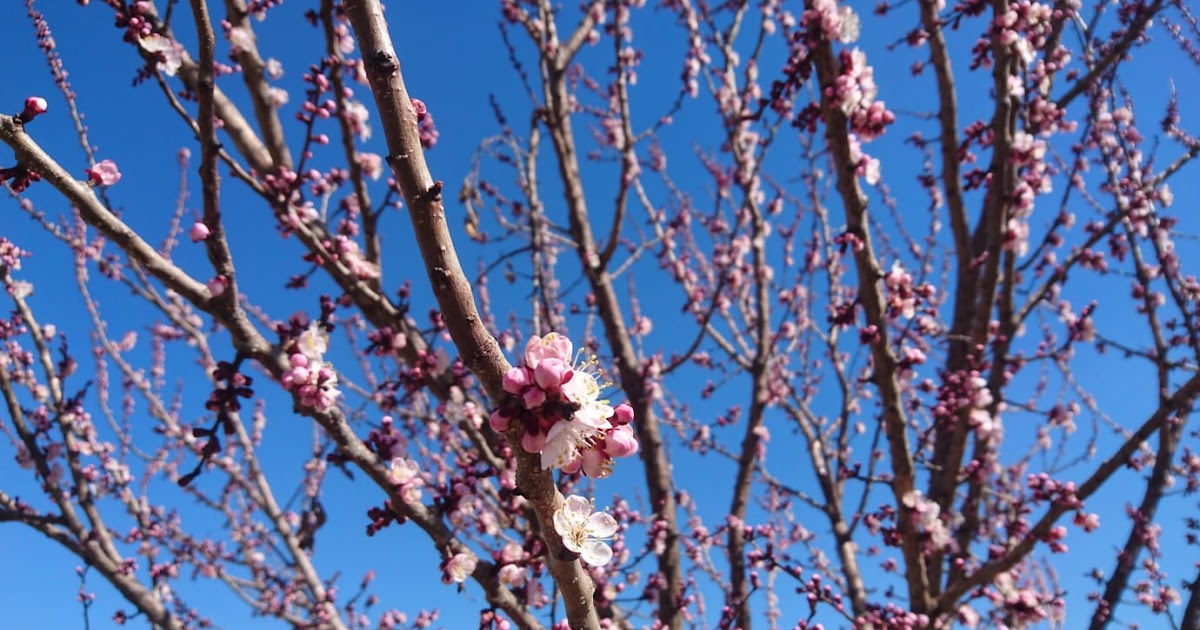 Ofori Kelimesini Tdk De Bulamadim