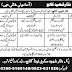 Nisar Shaheed College Risalpur Cantt Nowshera Jobs