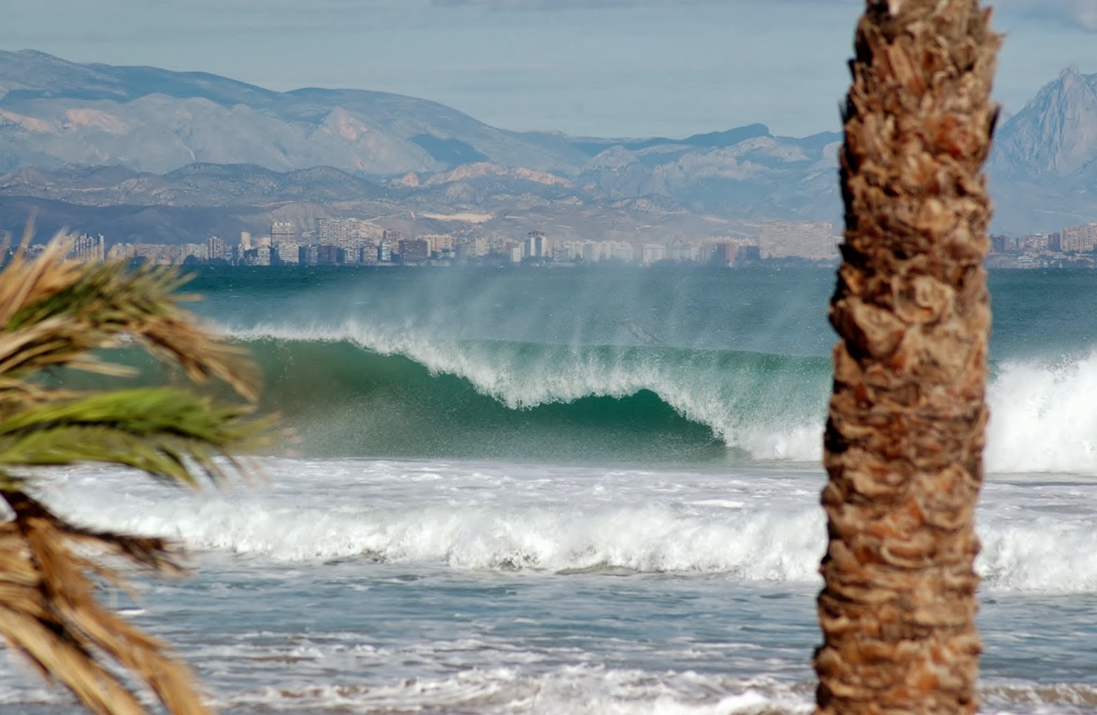 windsurf-y-surf-spot-arenales-del-sol-una-entre-un-mill-n-de-una