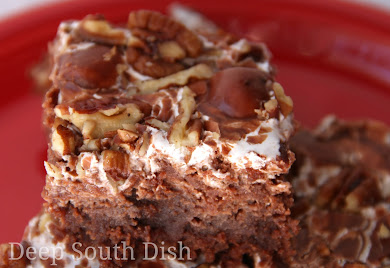 Rich and decadent, dense and fudge-like, Mississippi Mud Cake is made with cocoa, topped with marshmallows, a buttery cocoa icing and salted, toasted pecans.