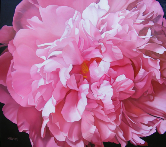 Get Stephen E Ambrose Peony Pics