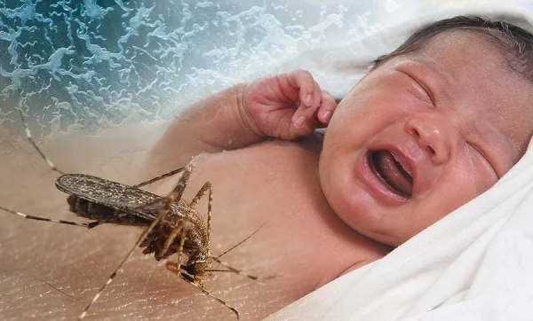 Σοκ: Το πρώτο μωρό στην Ευρώπη με μικροκεφαλία από τον ιό Ζίκα οι λαθρο κουβαλούν και αλλα πολλά μαζί τους!