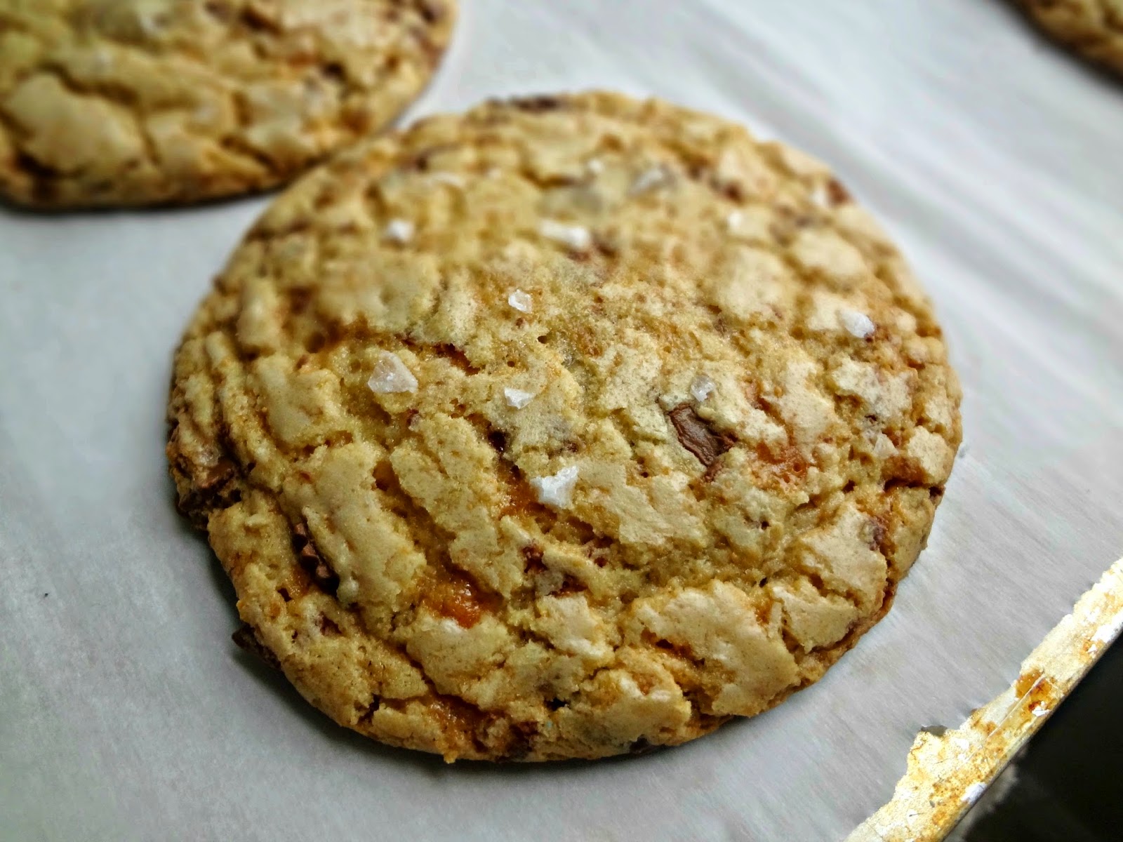 Browned Butter Peanut Butter Cup Crunch Cookies with Sea Salt