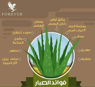 ALOE VERA + forever maroc + الالوفيرا