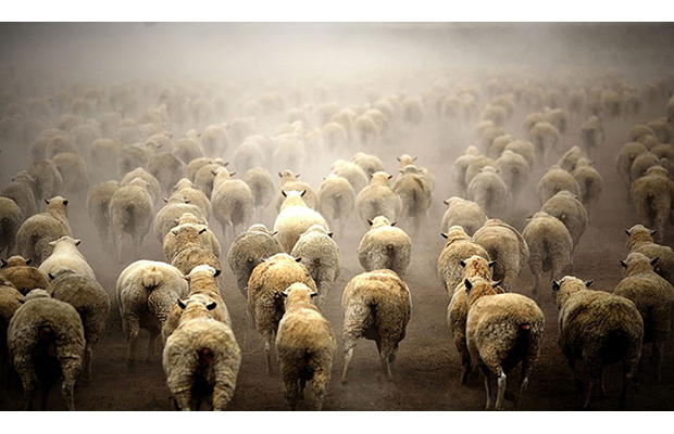 Against the Grain: Top Ten Travel Photographers Today