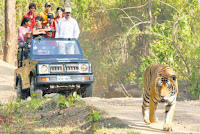 bannerghatta national park wildlife safari karnataka tourism india