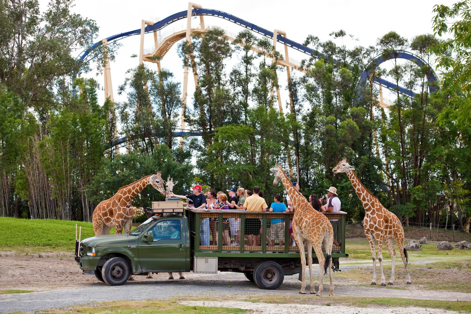 TPA Quick Take New Busch  Gardens  Offer Invites Florida  