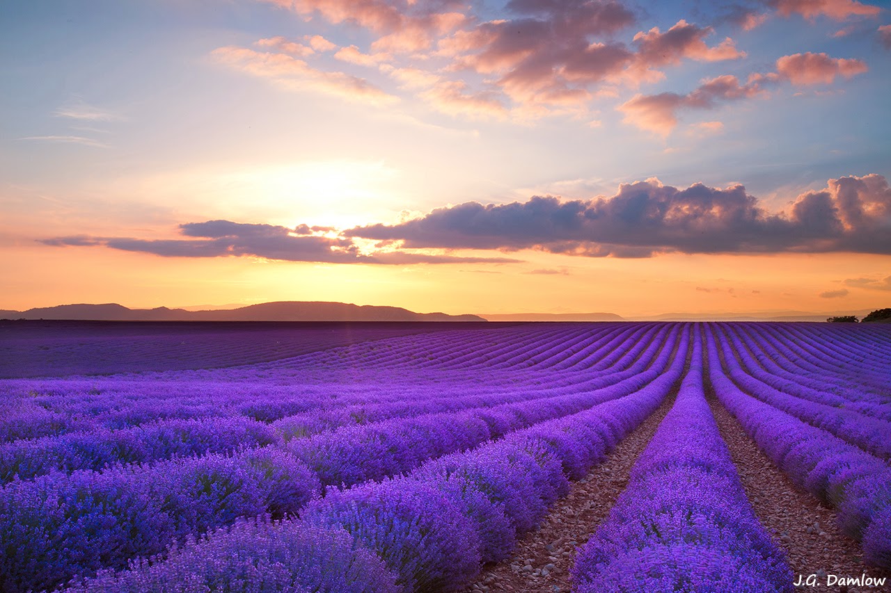 FujiXperience 5 consejos para vender mejor