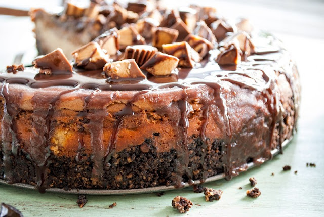 Peanut Butter Chocolate Cheesecake Dubai Peanut Butter Chocolate Cheesecake Dubai