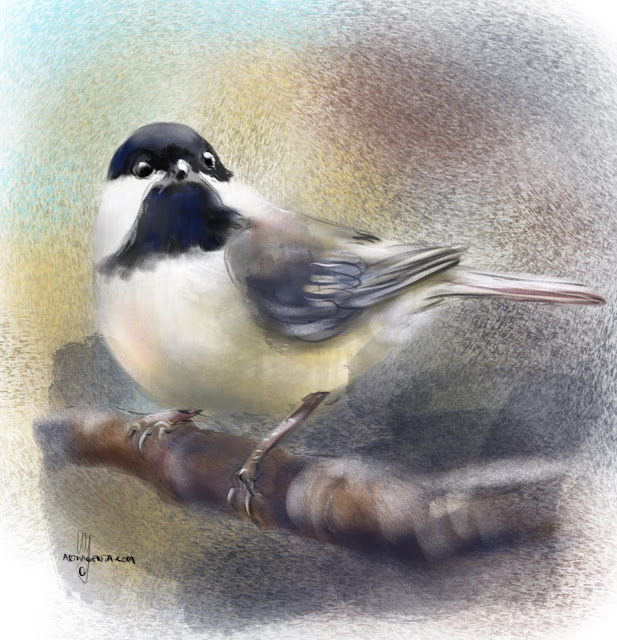 Black capped Chickadee bird painting by Artmagenta