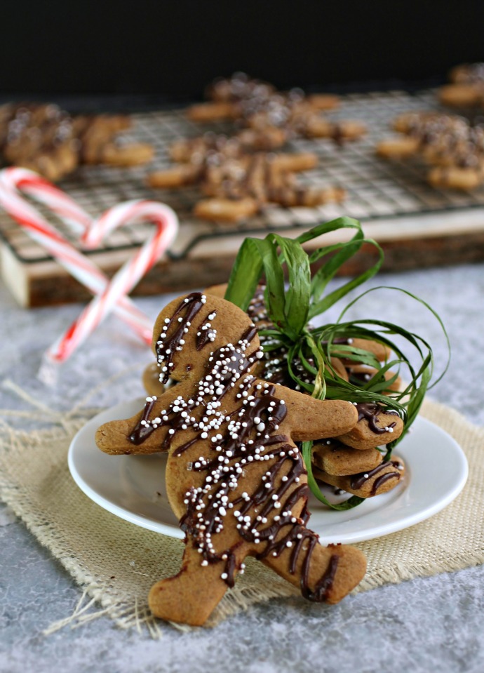 Ginger and Chocolate Spice Cookies