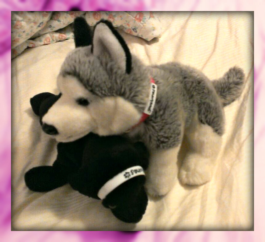 GIVEBONES Pet Collars Gives Back to Animal Shelters! (review and giveaway)