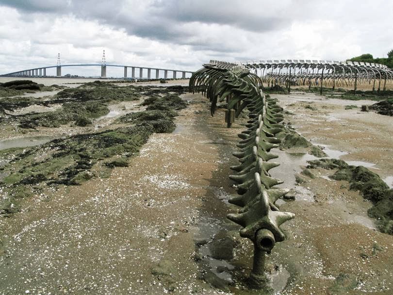 GIANT SNAKE SKELETON IN THE SEA OF FRANCE #Shorts 