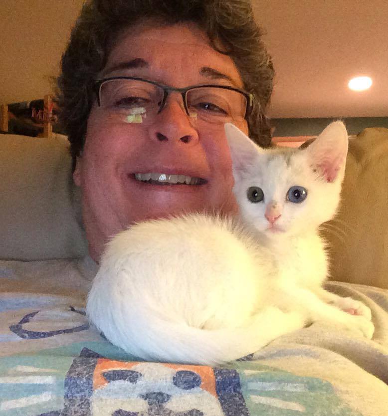 Cat House on the Kings Special Edition