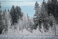 Vinter i Norrland