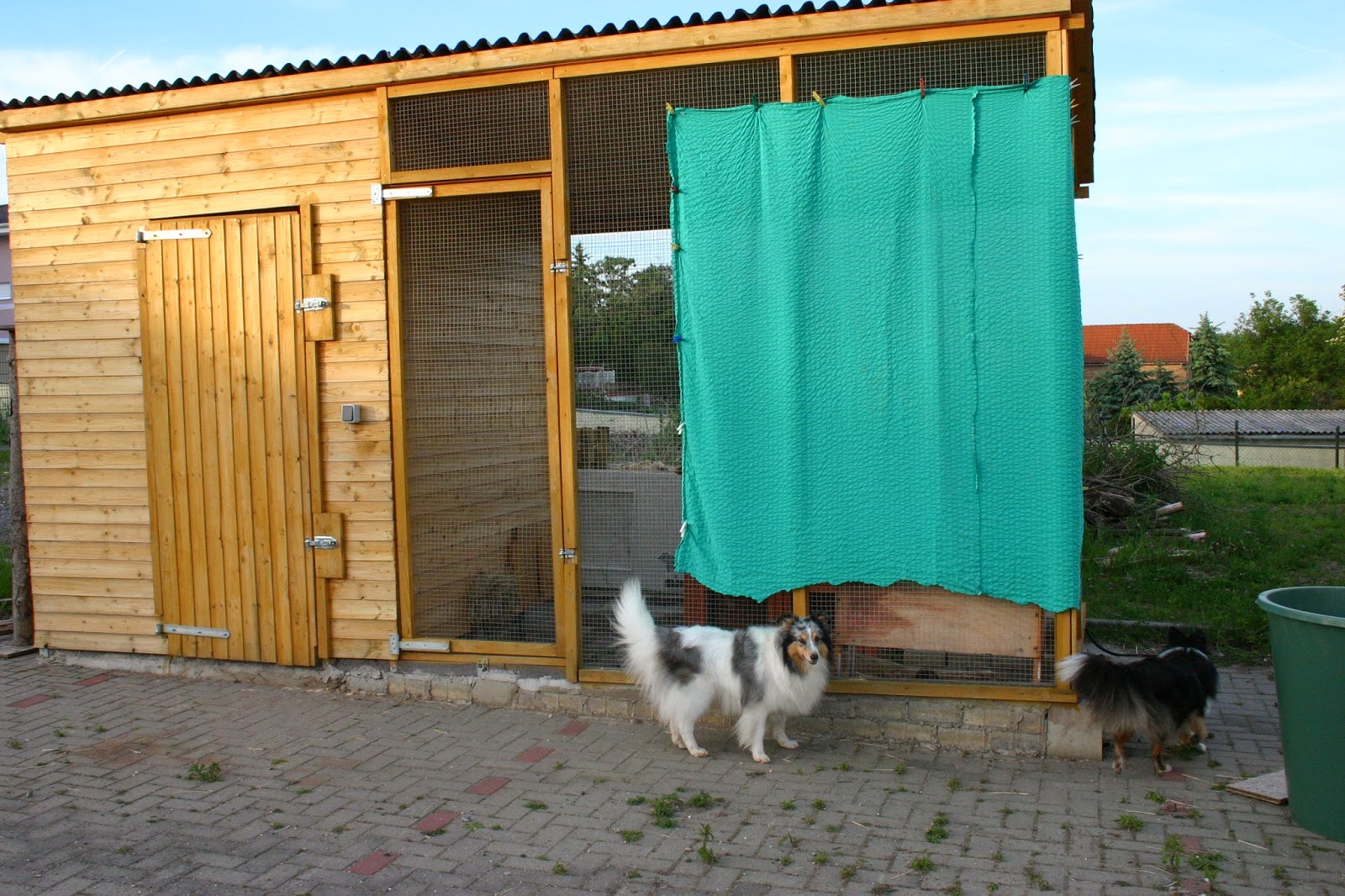 Ein Haus für Mensch, Hund, Katze und Maus Mai 2014