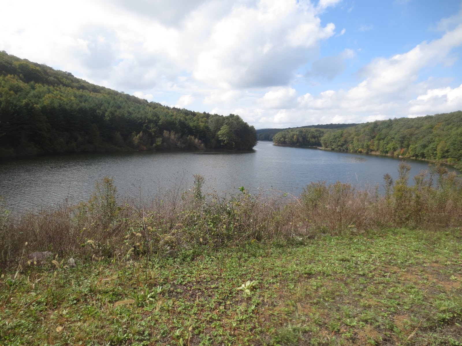 Book By Book Saturday Snapshot Locust Lake & Tuscarora State Parks, PA