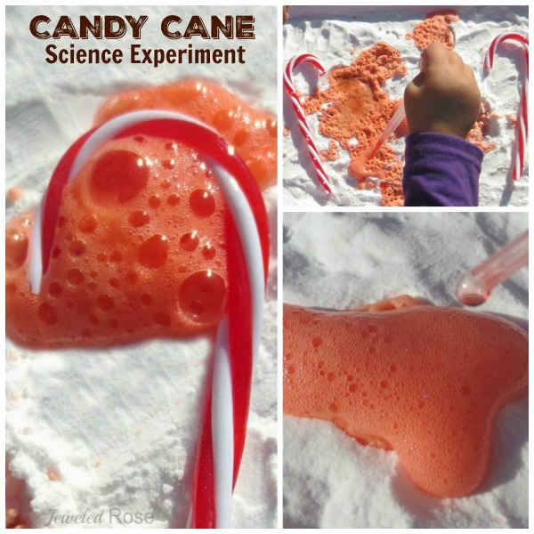CANDY CANE EXPERIMENT FOR KIDS- perfect exploration for the holiday season!