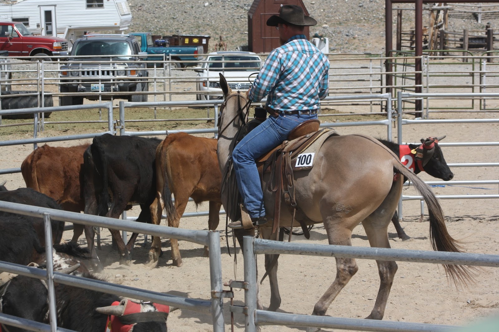PairADice Mules: Team Penning at Jake's