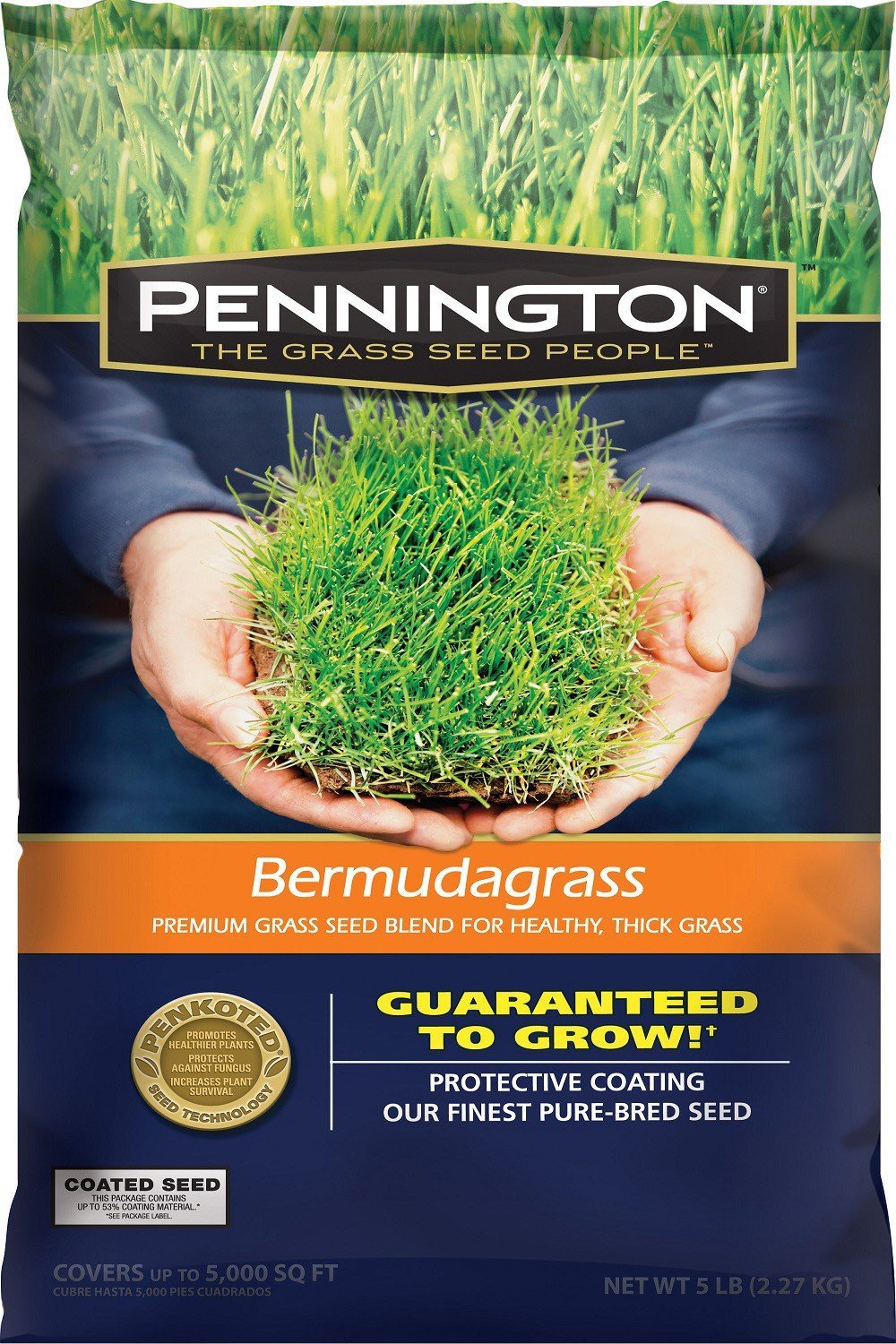 TRIANGLE BERMUDA GRASS SEED PENNINGTON BERMUDA GRASS GRASS SEED