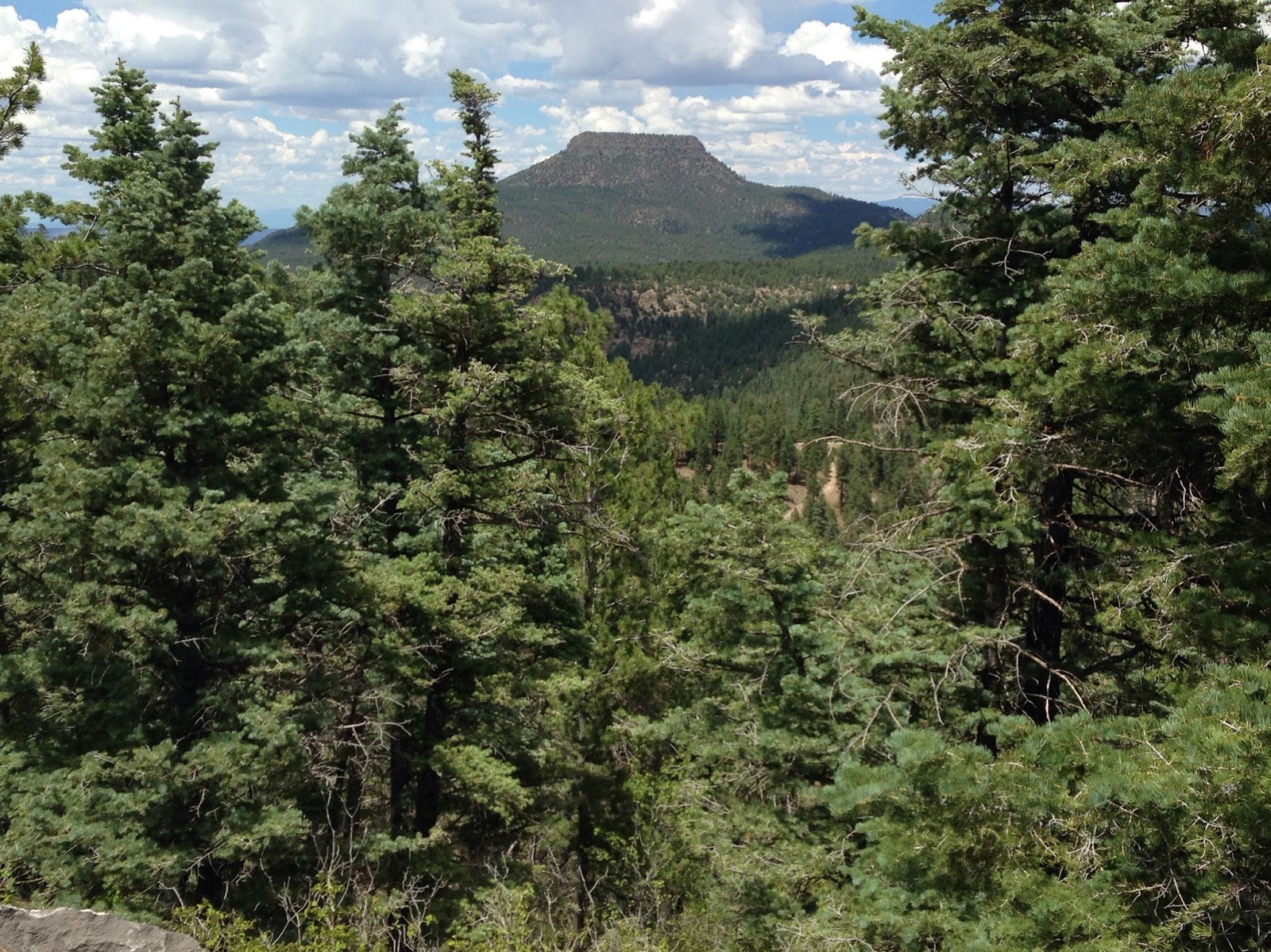 Southern New Mexico Explorer Forest Roads 100,99 Santa Fe National