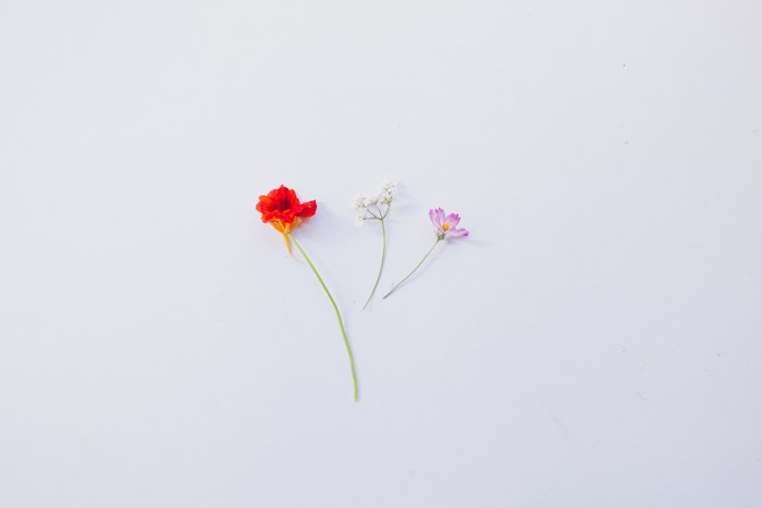 flowers from the garden flatlay flowers