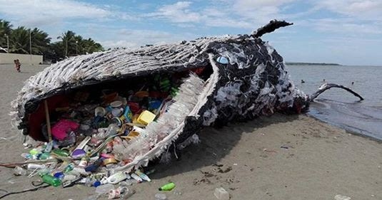 Plastik In Meeren Plastik In Meeren