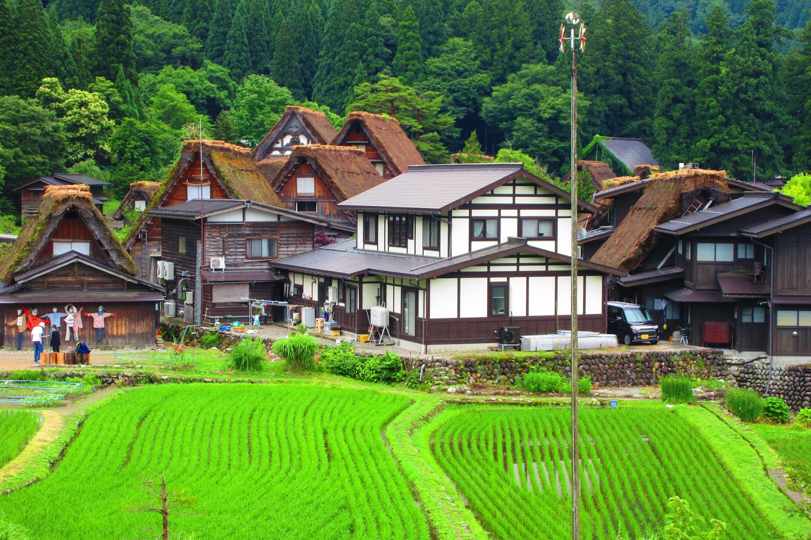 travelling japanese countryside