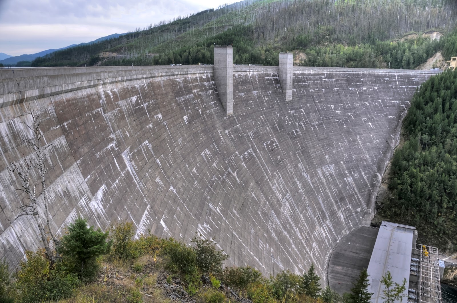 This Life in Ruins The Hungry Horse Damn, Hungry Horse Montana