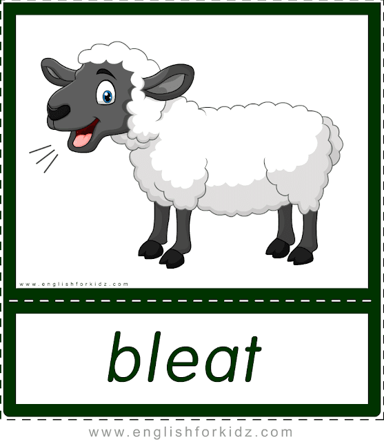 Animal sounds flashcards - bleat - sheep -- printable ESL resources