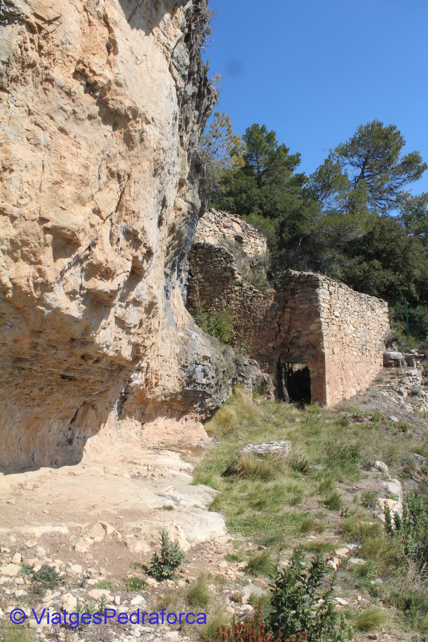 Tarragona, Patrimoni de la Humanitat, Pintures Rupestres de l'Arc Mediterrani