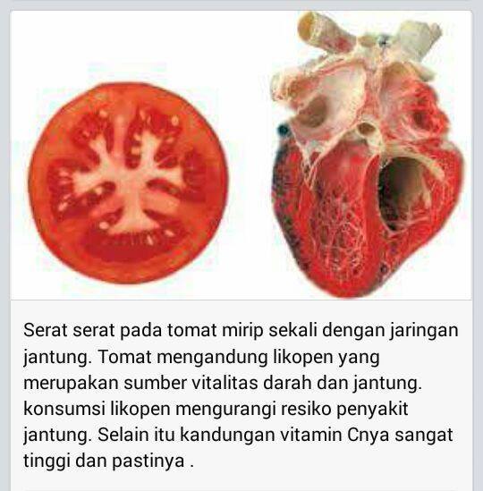 Tomat yang Menyerupai Jaringan Jantung