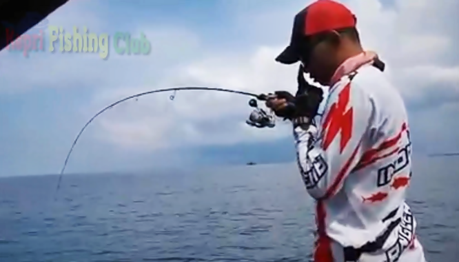 Turnamen Mancing Tanjungpinang Turnamen Mancing Tanjungpinang