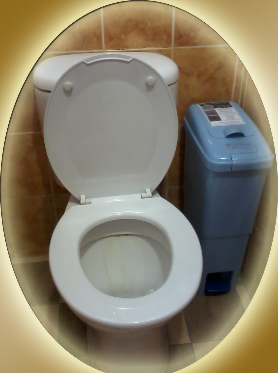 suciunggul Sanitary Bin