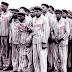 Secondo Provita, il nazismo sarebbe una risposta ai governi che riconoscino diritti ai gay