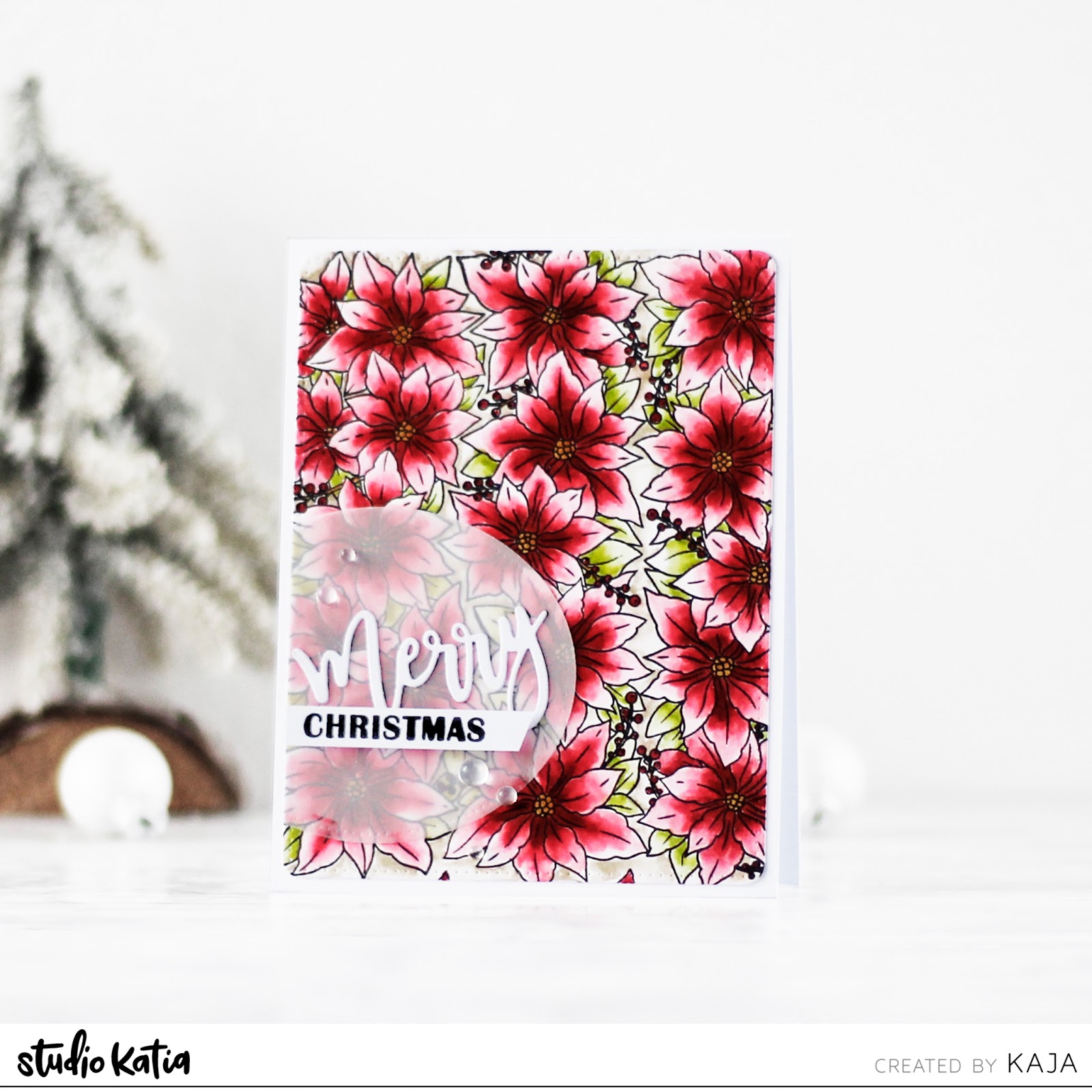 Poinsettia | Studio Katia Poinsettia | Studio Katia
