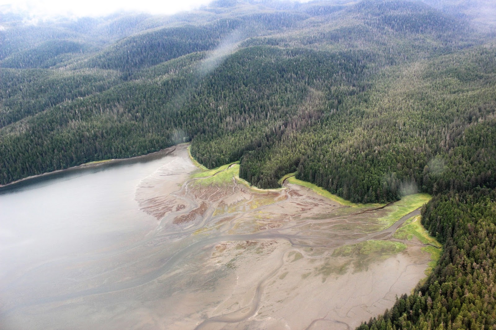 Souvenir Chronicles ALASKA! GRIZZLY BEAR WATCHING ON CHICHAGOF ISLAND