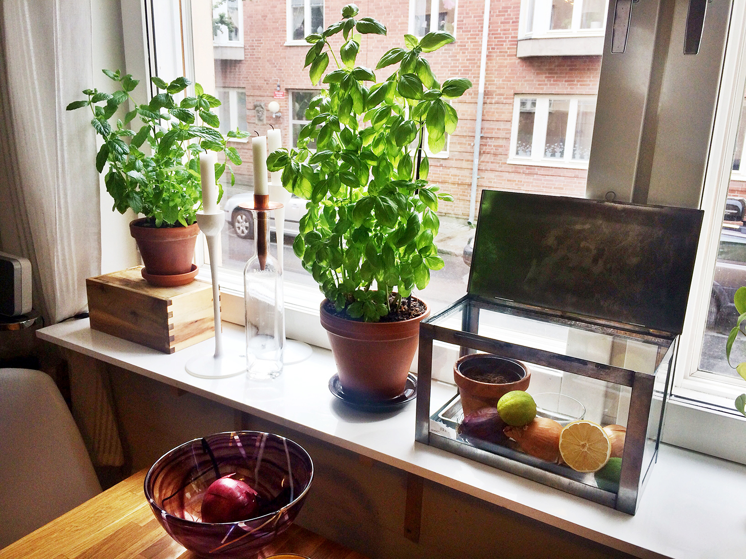 Johanna: juni 2016