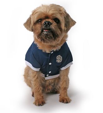 padres dog jersey