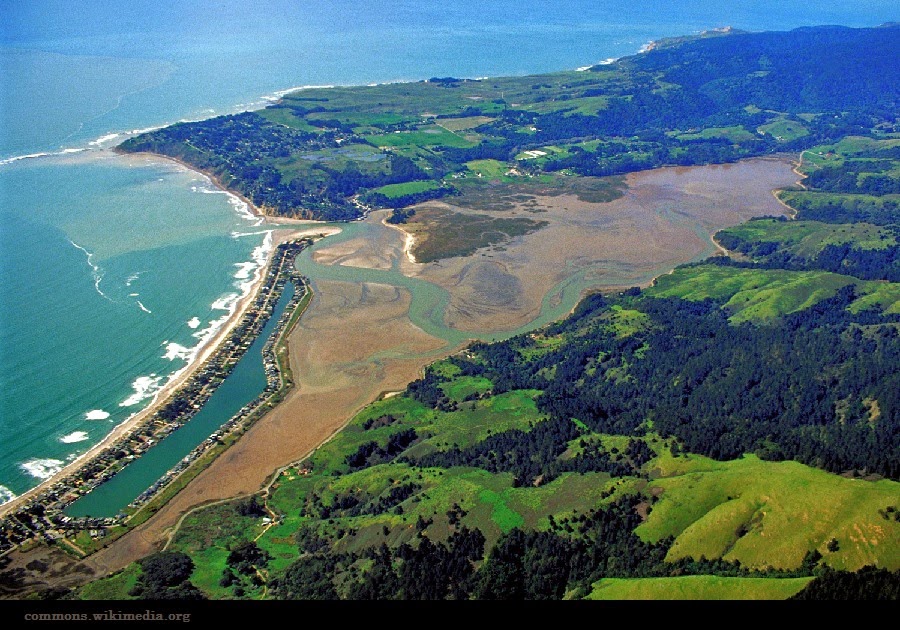 Renée Finberg ' TELLS ALL ' in her blog of her Adventures in Design