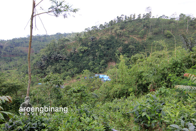 makam sunan bonang bismo batang