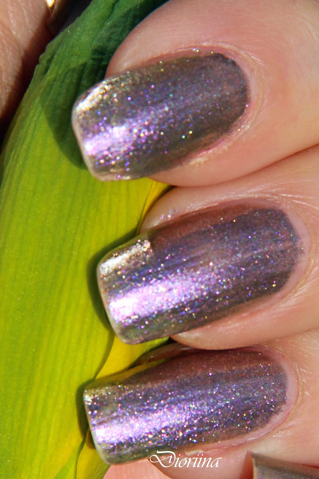 Next Stop...The Bikini Zone Dioriina