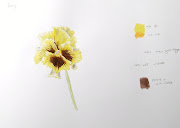 White flowers are always hard on a white background; Subtle use of greys is . (march )