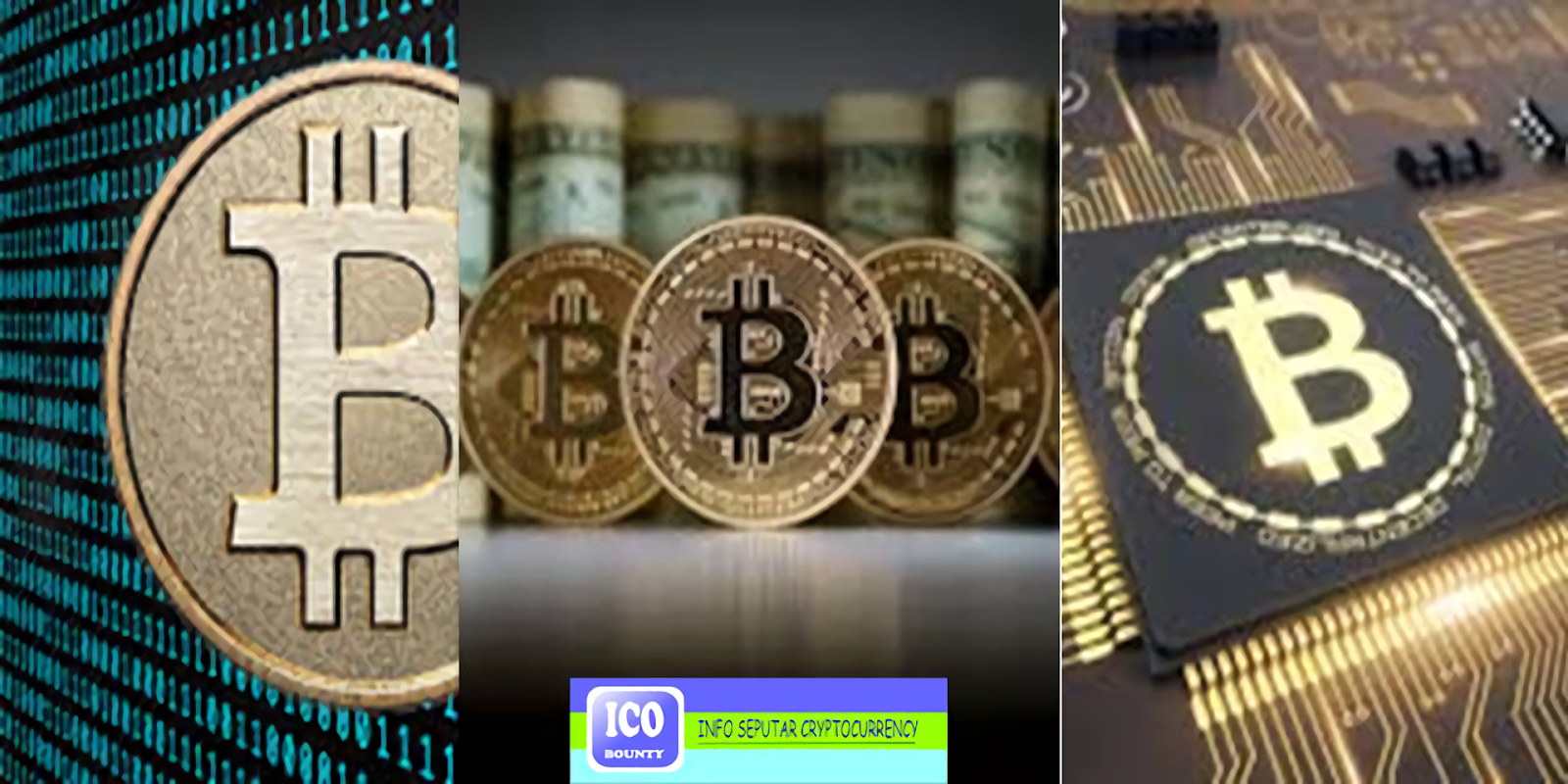 Обналичка криптовалюты. L1 crypto. L1 crypto. Крипто лес. L1 crypto.